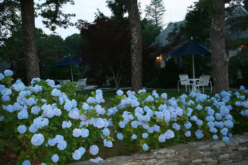 Pleasant Bay Village Resort Chatham Extérieur photo